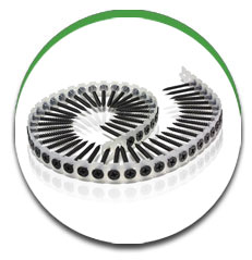 Collated Screw Collated Screw
