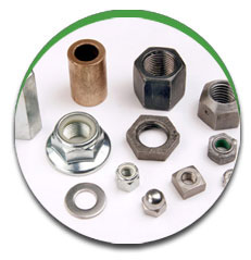Custom Nut Custom Nut