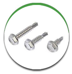 Self Tapping Screw Self Tapping Screw