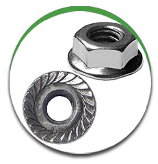 Serrated Flange Nut Serrated Flange Nut