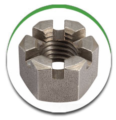 Slotted Nut Slotted Nut