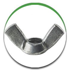 Wing Nut Wing Nut