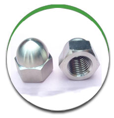 Cap Nut Cap Nut
