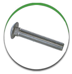 Carriage Bolt Carriage Bolt