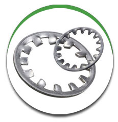 Dome Tooth Washer Dome Tooth Washer