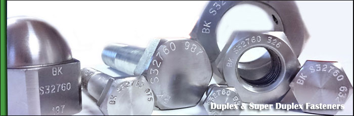 Duplex Stainless Steel Fasteners Inventory at our Vasai, Mumbai Factory Duplex Stainless Steel Fasteners Inventory at our Vasai, Mumbai Factory