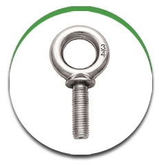 Eye Bolt Eye Bolt