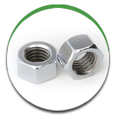 Hex Nuts Hex Nuts