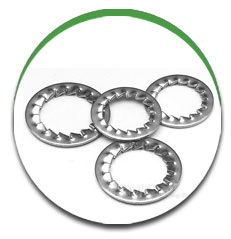 Split OR Lock Washer Split OR Lock Washer