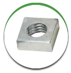Square Nut Square Nut