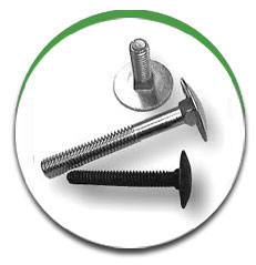 Step Bolt Step Bolt