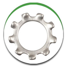 Tooth Lock Washer Tooth Lock Washer